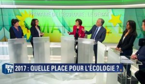 Cécile Duflot: "Le bilan de ce gouvernement" en matière d'écologie, "c'est un gâchis"