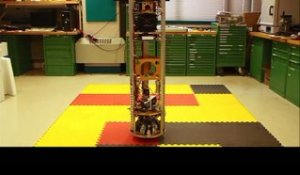 Ce robot se déplace sur une grosse bille de métal ! SIMbot