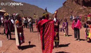 Condor released back to the wild in Argentina