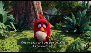 ANGRY BIRDS LE FILM ! - BONUS : LES OISEAUX !
