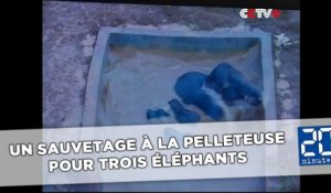 Sauvetage à la pelleteuse de trois éléphants coincés dans un réservoir d'eau