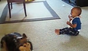Ces parents filment leur bébé avec leur chien. Ce que ces deux-là font est surprenant !