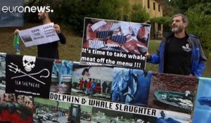 Partisans et adversaires de la chasse à la baleine s'affrontent en Slovénie