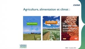 Audition de Cyrielle DENHARTIGH, Réseau action climat France (RAC-F) - bioéconomie - cese