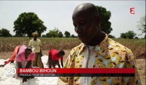 OGM : le Burkina Faso va se passer du coton de Monsanto