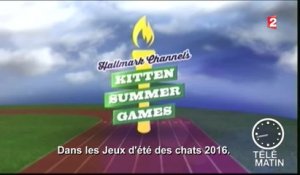 TV Ailleurs - Kitten Summer Games