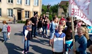 Vosges : la mobilisation pour lutter contre la fermeture du collège de Darney en...