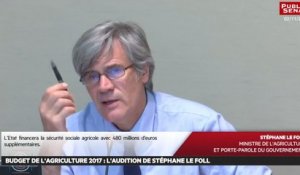 Budget de l'Agriculture 2017 : L'audition de Stéphane Le Foll - Les matins du Sénat (04/11/2016)
