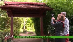 Folies Botaniques à l'île de Versailles #1