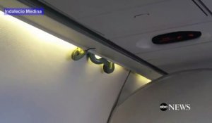Un serpent sème la zizanie dans un avion. Un invité surprise !