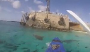 Des requins encercle un homme en kayak !