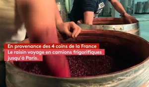 La Winerie, le goût du vin parisien