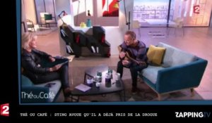 Thé ou Café : Sting avoue qu'il a déjà consommé de la drogue (Vidéo)