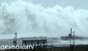 Un typhon provoque des vagues géantes !