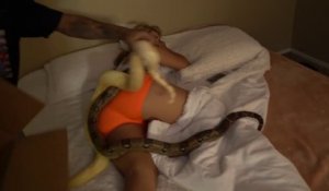 Il réveille sa petite amie avec deux serpents géants