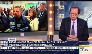 Programme de François Fillon : Faut-il un "choc" pour relancer l'économie française ? - 24/11