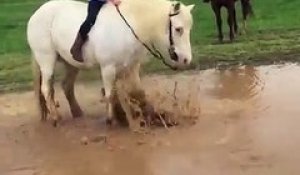 Un cheval se roule dans la boue pendant une balade !