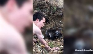 Il Tente D Offrir Une Feuille Au Petit Koala Mais Ce Que L Animal Fait Trop Mignon Sur Orange Videos