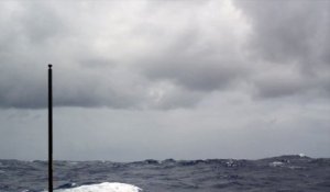 J21 : Kito de Pavant filme un albatros / Vendée Globe