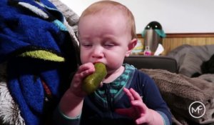 Ce bébé n'aime pas les cornichons mais n'arrête pas de manger