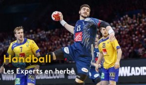 Handball : les Experts en herbe