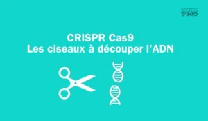 CRISPR Cas9, la grande menace ?