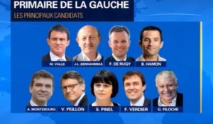 Primaire de gauche : neuf dossiers déposés pour sept candidats ?