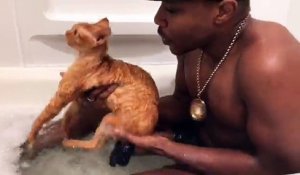 Il rappe en donnant un bain à son chat assis dans la baignoire