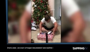 Un chat attaque violemment son maître pendant qu'il déballe ses cadeaux de Noël (Vidéo)