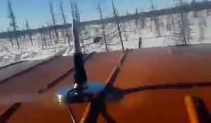 Un ours se fait délibérément écraser par des camionneurs russes