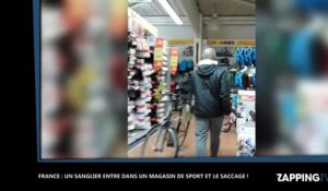 Charente-Maritime : Un sanglier ravage un Intersport, la vidéo buzz !