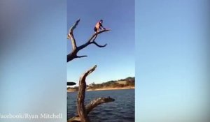 Tenter de sauter depuis un arbre Fail !!