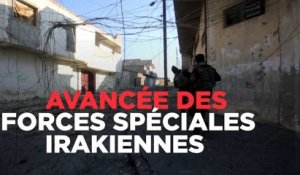 Hollande aux Kurdes : "Il n'aurait pas été possible de repousser Daech sans vous"