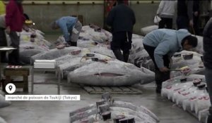 Tokyo : un thon rouge adjugé pour plus de 600 000 euros au marché de Tsukiji