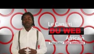 Le Canari du Web Africain /  En France, au moins 84 morts à Nice