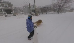 Se faire tracter en snowboard par ses deux chiens dans la neige