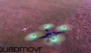 Ce drone vole à une vitesse complètement folle !
