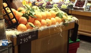 Pourquoi craint-on une pénurie de jus d'orange