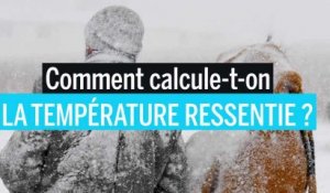 Comment calcule-t-on la température ressentie ?