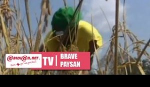 Brave paysan / Emission du dimanche 4 janvier 2015 (1ère partie)