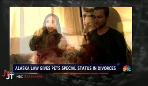 Divorce : En Alaska, le juge peut désormais décider de la garde des animaux - Vidéo
