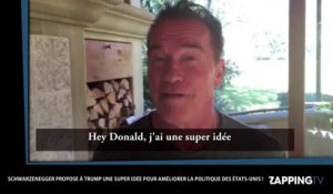 Donald Trump : Arnold Schwarzenegger lui fait une proposition très tentante