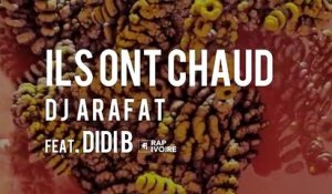Dj Arafat feat Didi B - ils ont chaud ( Pré-ecoute )