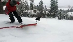 Ces deux snowboardeurs ont été pris en chasse par un élan. C’est à mourir de rire !