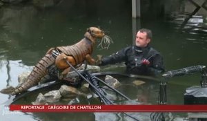 La Roche : Place Napoléon, les animaux chez le véto !