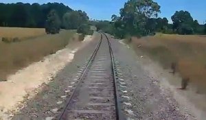 Un motard coincé sur les rails saute au dernier moment alors que sa moto se fait percuter par un train