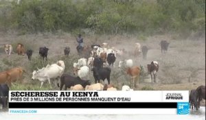 Cameroun : des milliers de déplacés fuyant Boko Haram menacés par la famine