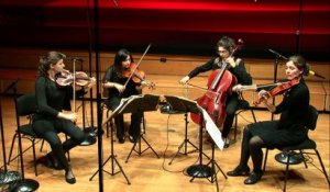 Beethoven : Quatuor à cordes n° 8 en mi mineur op. 59 n° 2 - Allegro par le Quatuor Akilone