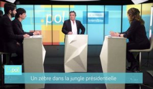 Alexandre Jardin : Macron, "un nouveau visage du système"