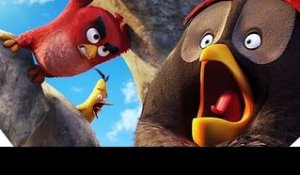 ANGRY BIRDS - "Arrrrrrghhhhhhhcvhdsbkngf !" - Extrait # 3 VF